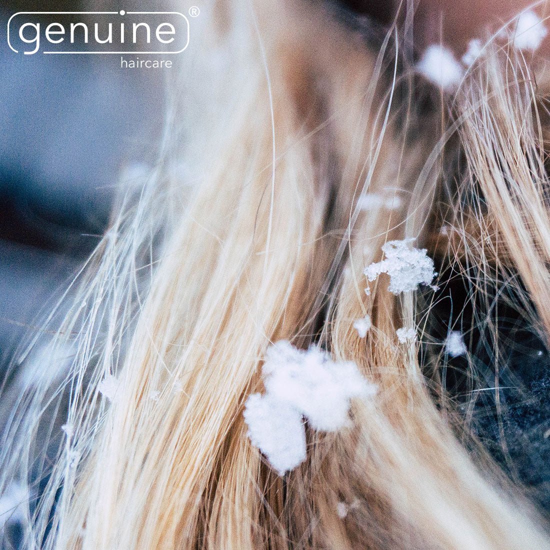 Schöne Haare auch im Winter - die besten Tipps gegen bekannte Haarprobleme - genuine haircare