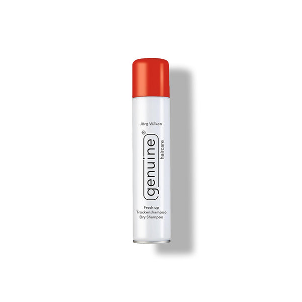 Fresh up Trockenshampoo Dry Shampoo