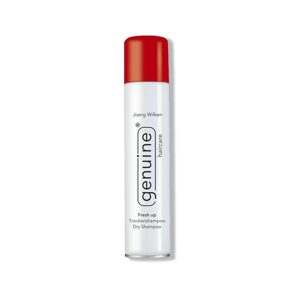 Fresh up Trockenshampoo Dry Shampoo