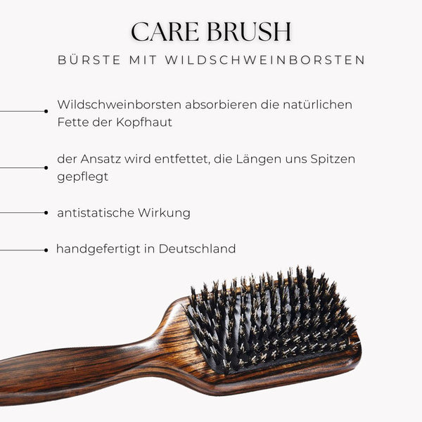 Care Brush Travel